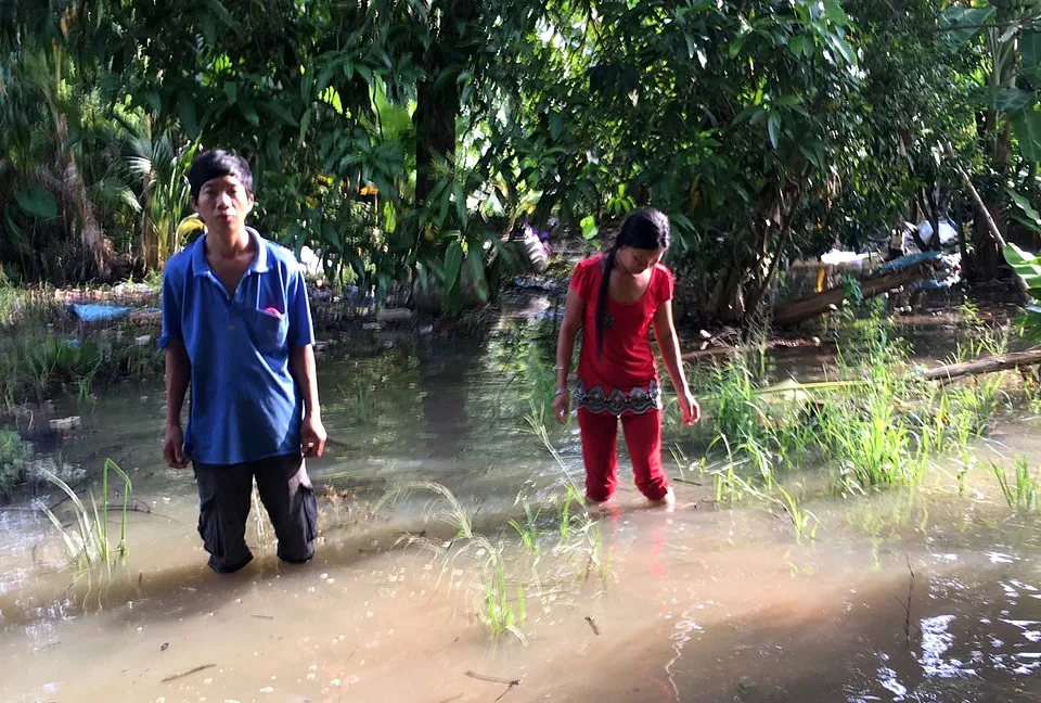 Triều cường tiếp tục gây vỡ đê cặp sông Hậu ảnh 2