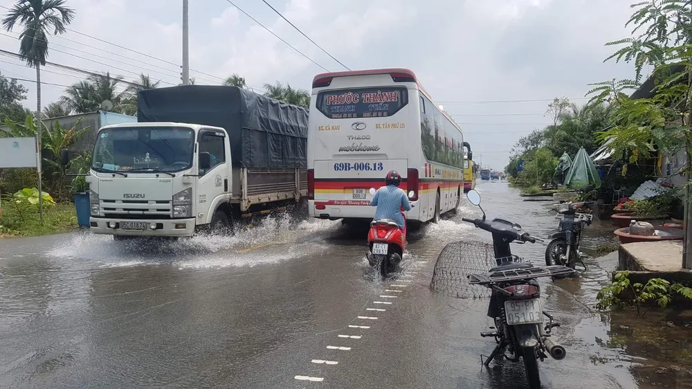 Triều cường tiếp tục gây vỡ đê cặp sông Hậu ảnh 5