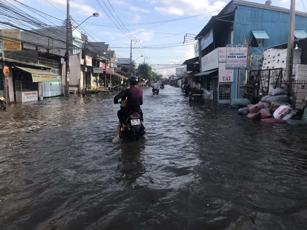 Triều cường tiếp tục gây vỡ đê cặp sông Hậu ảnh 4