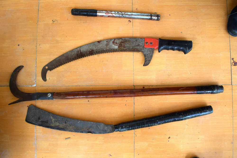 Sát hại con ruột 3 tuổi rồi tự sát ảnh 2