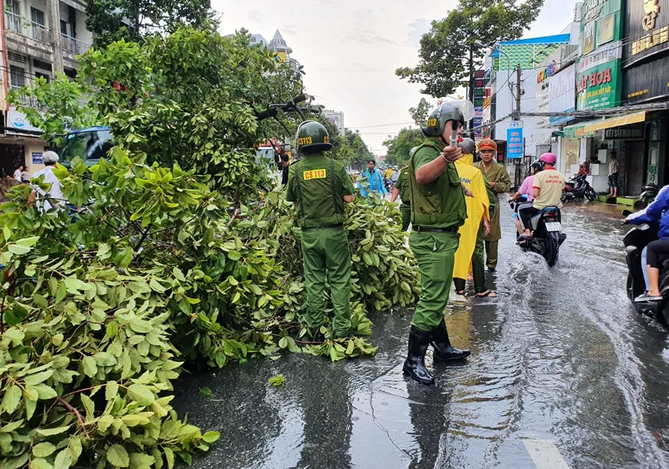 Cần Thơ: Giông lốc quật ngã hàng loạt cây xanh ảnh 5