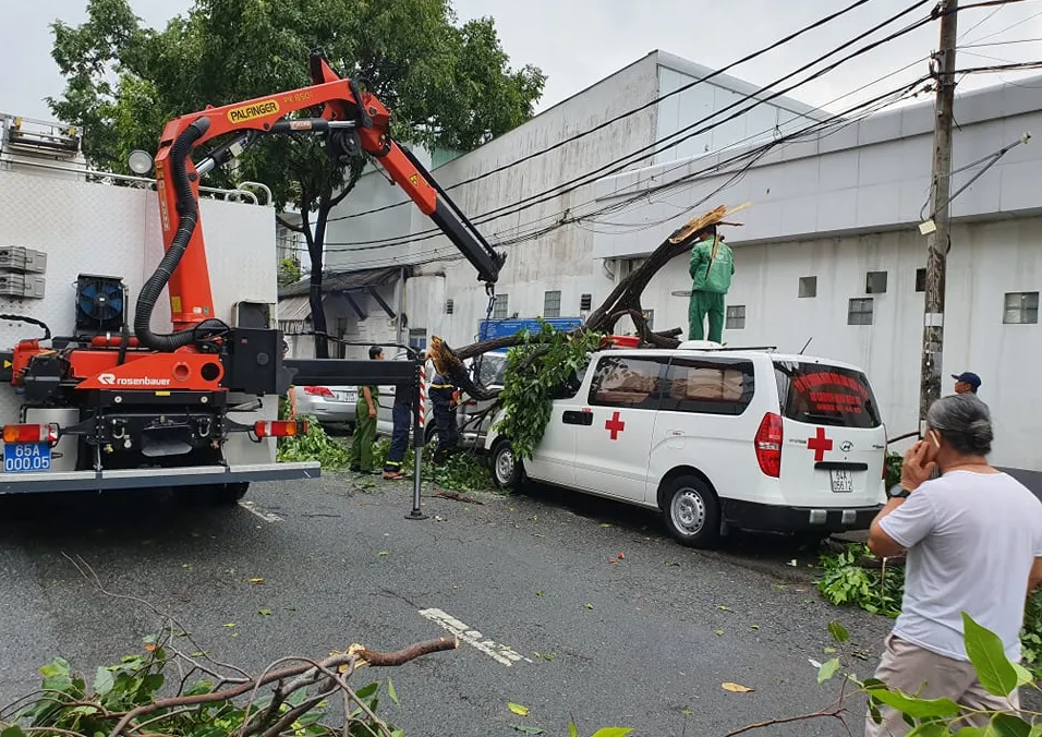 Cần Thơ: Giông lốc quật ngã hàng loạt cây xanh ảnh 6
