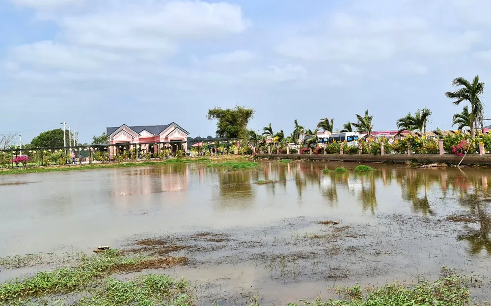 Chủ tịch UBND tỉnh Sóc Trăng chỉ đạo xử lý nghiêm sai phạm xây dựng của Công ty Kim Loan Quê Tôi ảnh 1