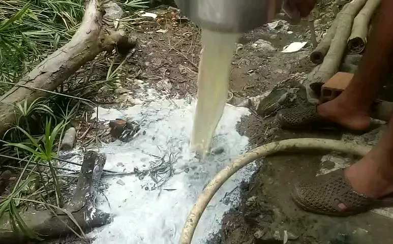 Xót xa cảnh nông dân nuôi bò sữa mang sữa đi đổ bỏ ảnh 1