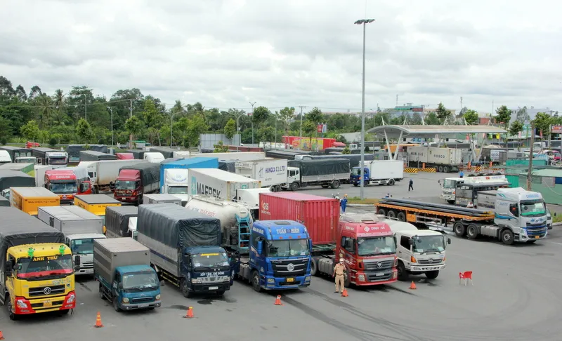 Cần Thơ giải quyết hàng hóa ùn ứ tại bãi tập kết ảnh 1