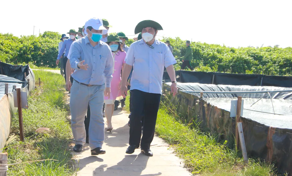 Đẩy mạnh kêu gọi đầu tư Cảng biển quốc tế Trần Đề ảnh 1