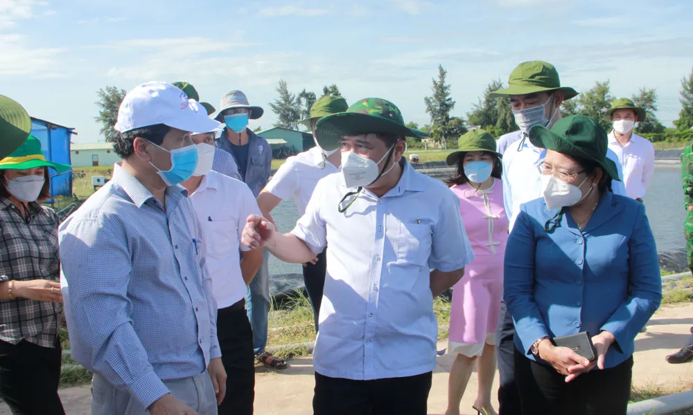 Đẩy mạnh kêu gọi đầu tư Cảng biển quốc tế Trần Đề ảnh 2