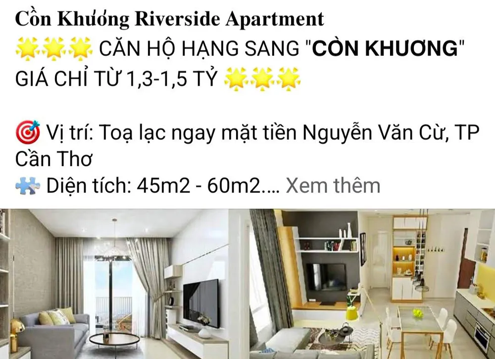 Quảng cáo, rao bán chung cư “ảo” trên mạng, 1 tổ chức và 2 cá nhân bị phạt 55 triệu đồng  ảnh 2