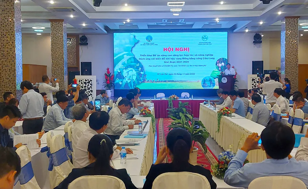 Triển khai Đề án nâng cao năng lực HTX nông nghiệp thích ứng biến đổi khí hậu tại ĐBSCL ảnh 2