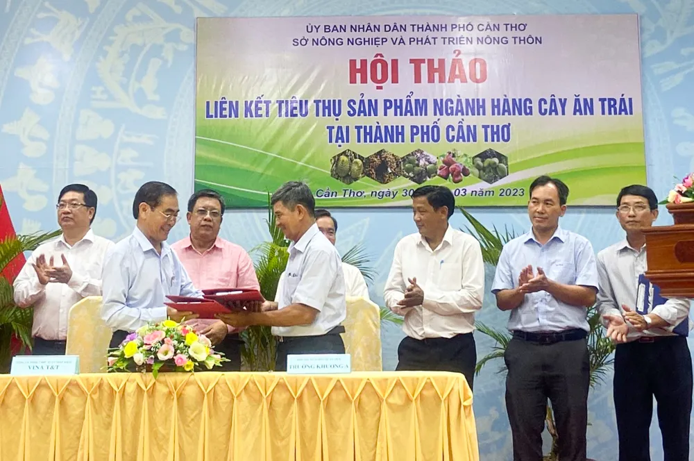Doanh nghiệp ký kết tiêu thụ với hợp tác xã trồng cây ăn trái tại TP Cần Thơ