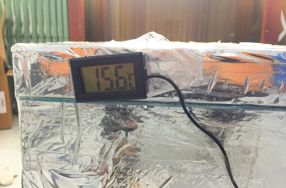 Nhiệt độ ghi nhận trong kiện vaccine dại Speeda vượt ngưỡng quy định