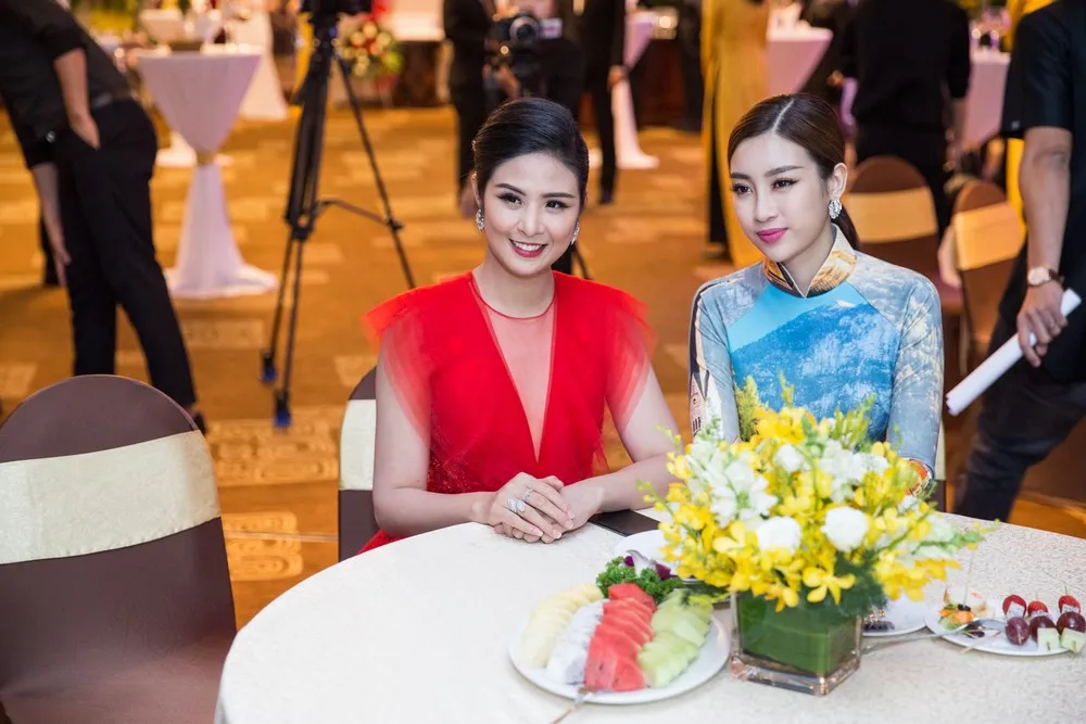 Hoa hậu Áo trình diễn trang phục dân tộc tại Việt Nam ảnh 7