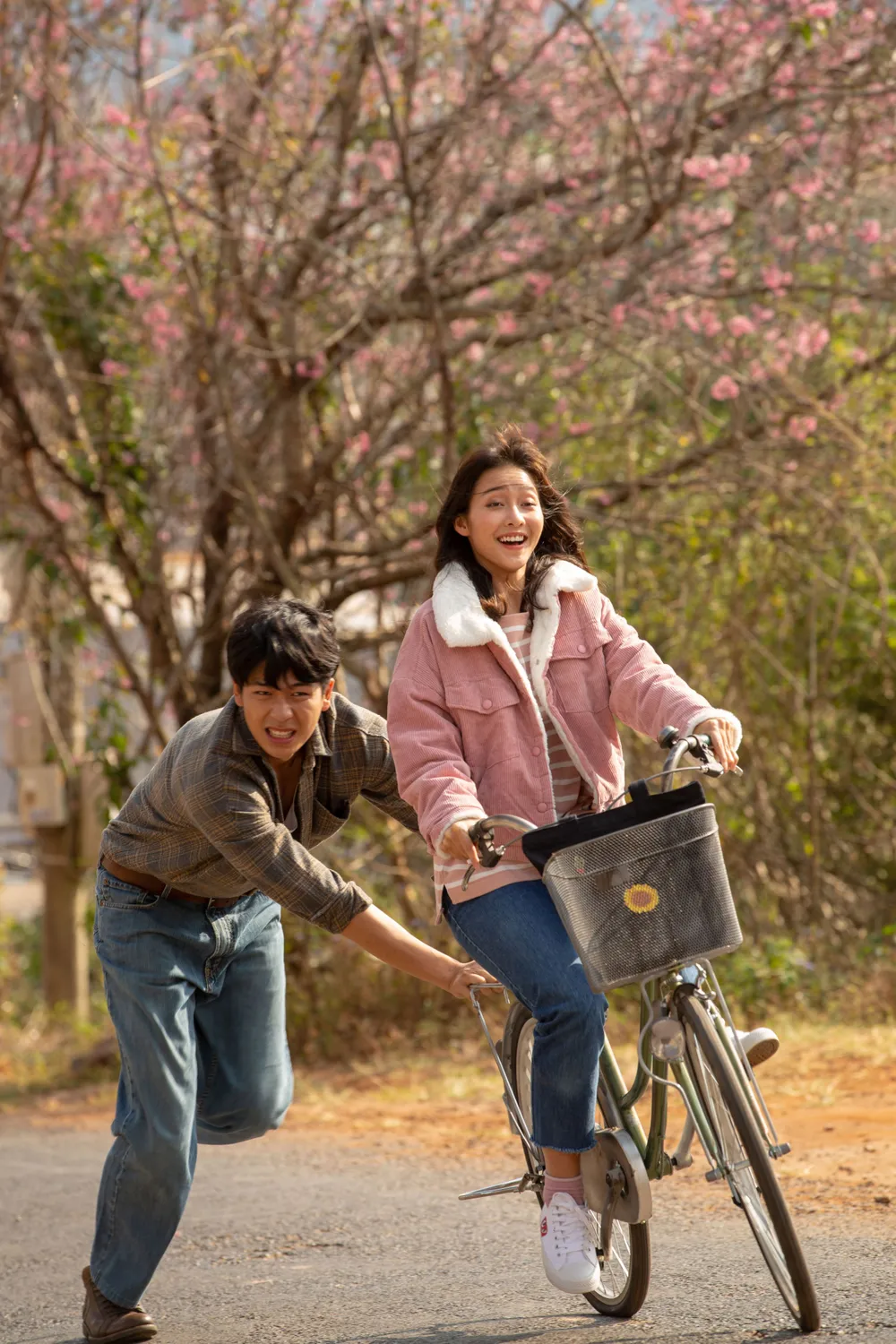 ''Bí mật của gió'' chính thức trở lại đường đua phòng vé ảnh 2