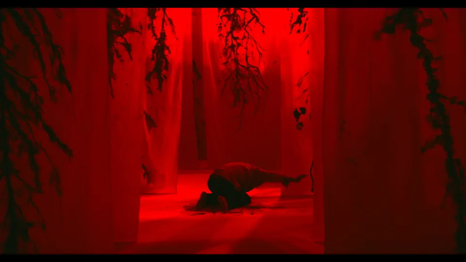 Hai phim Việt tham dự LHP Berlin 2022 ảnh 3