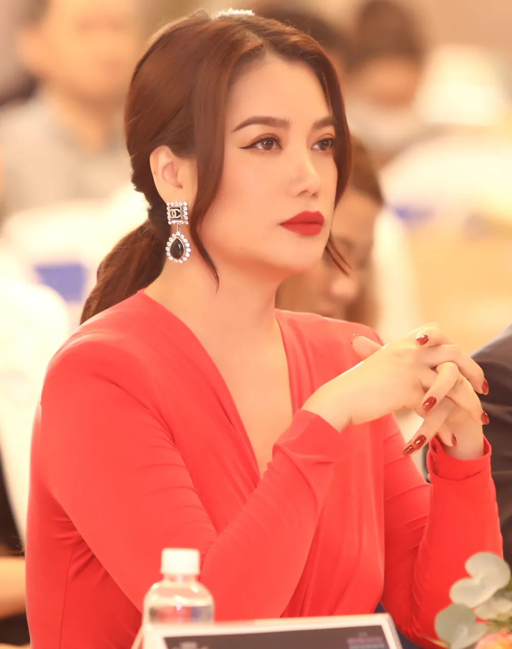 Trương Ngọc Ánh sẽ cầm trịch 2 cuộc thi hoa hậu và nhiều dự án giải trí ảnh 1