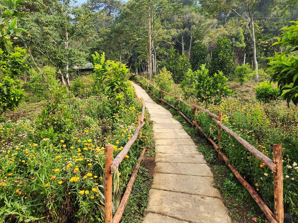 ly hai boi canh 8.jpg