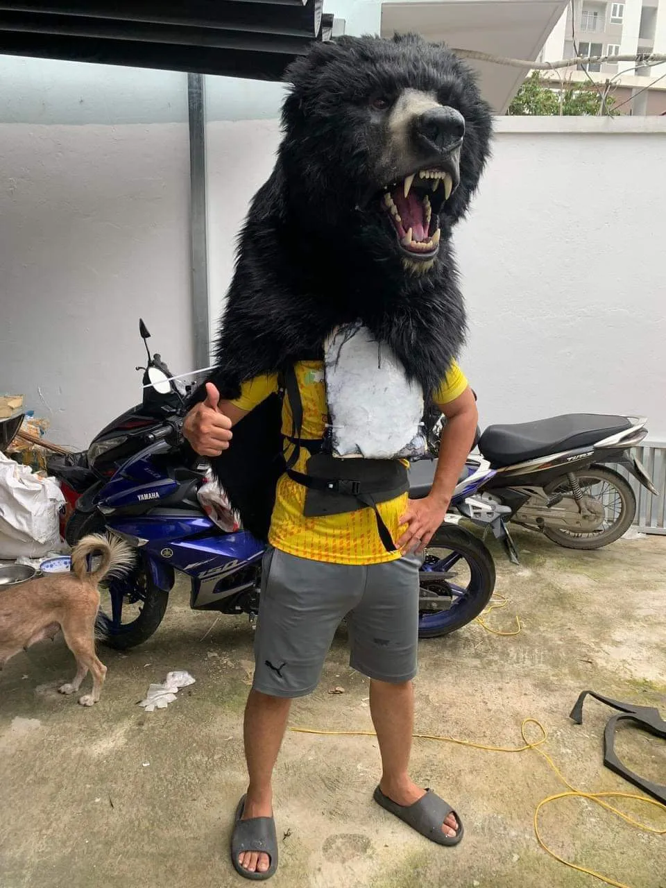 phim mong vuot 2.JPG