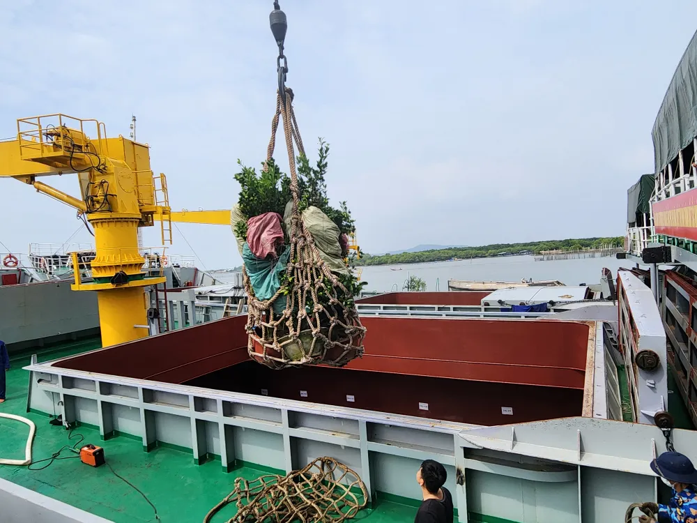 chuc tet nhan gian DK1 (14).jpg