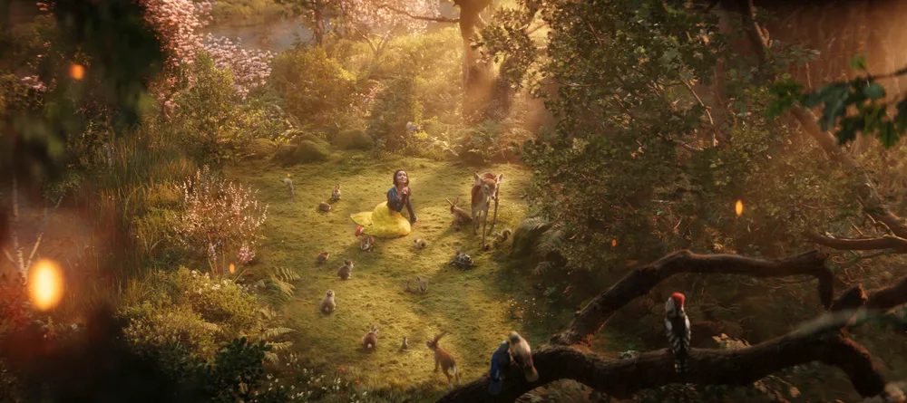 nang bach tuyet 3.jpeg