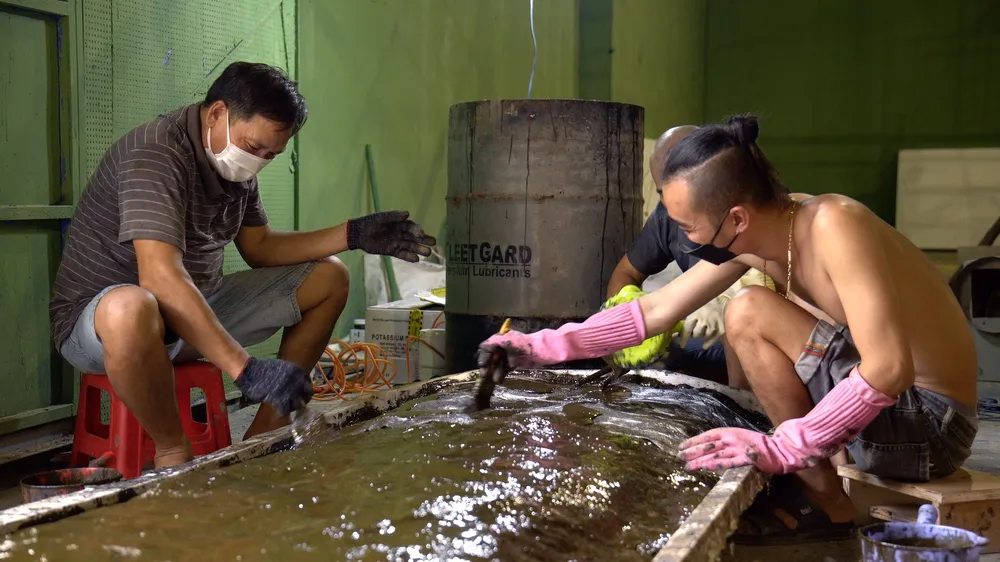 hau truong dia dao 1.jpg