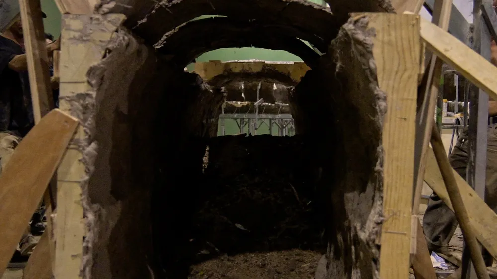 hau truong dia dao 4.jpg