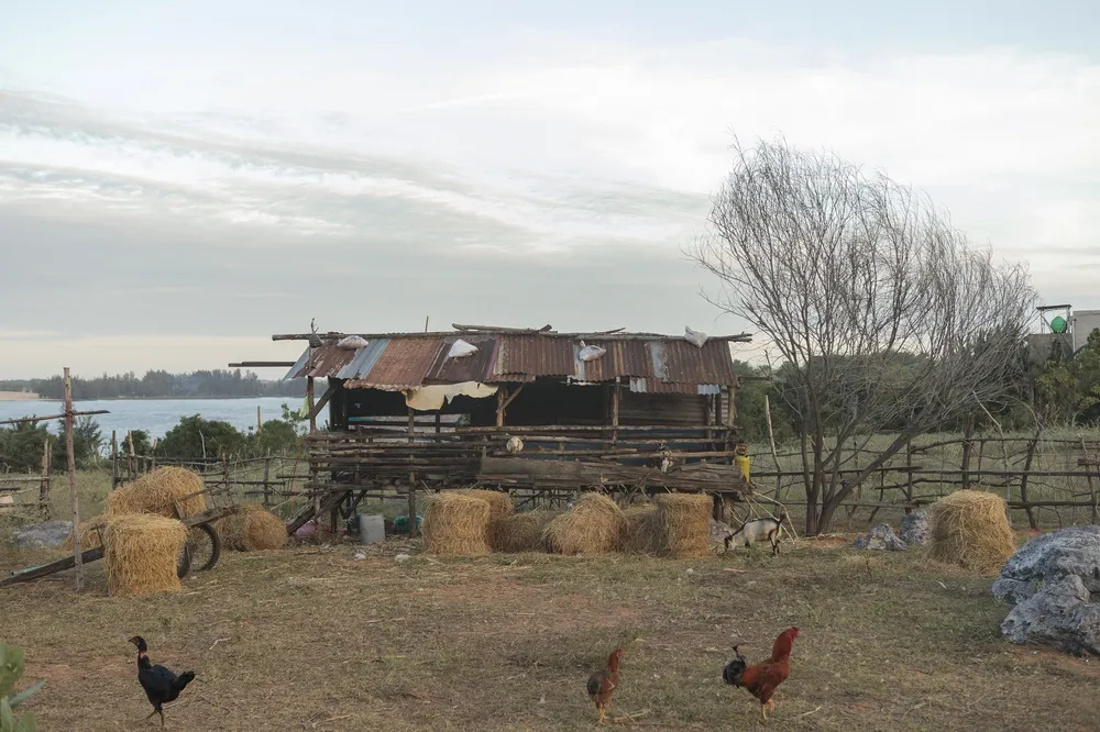 boi canh lat mat 8 1.jpg