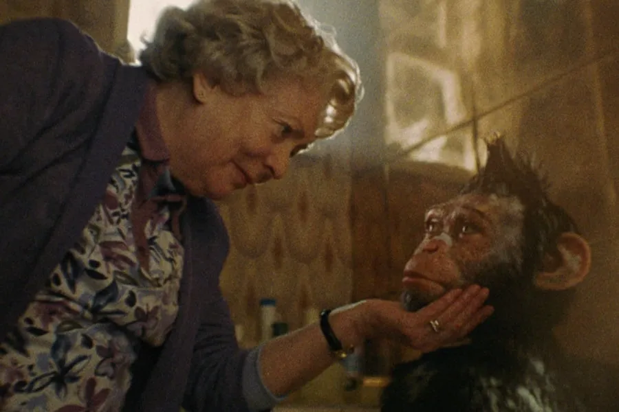 sieu sao nguyen thuy 2.jpg