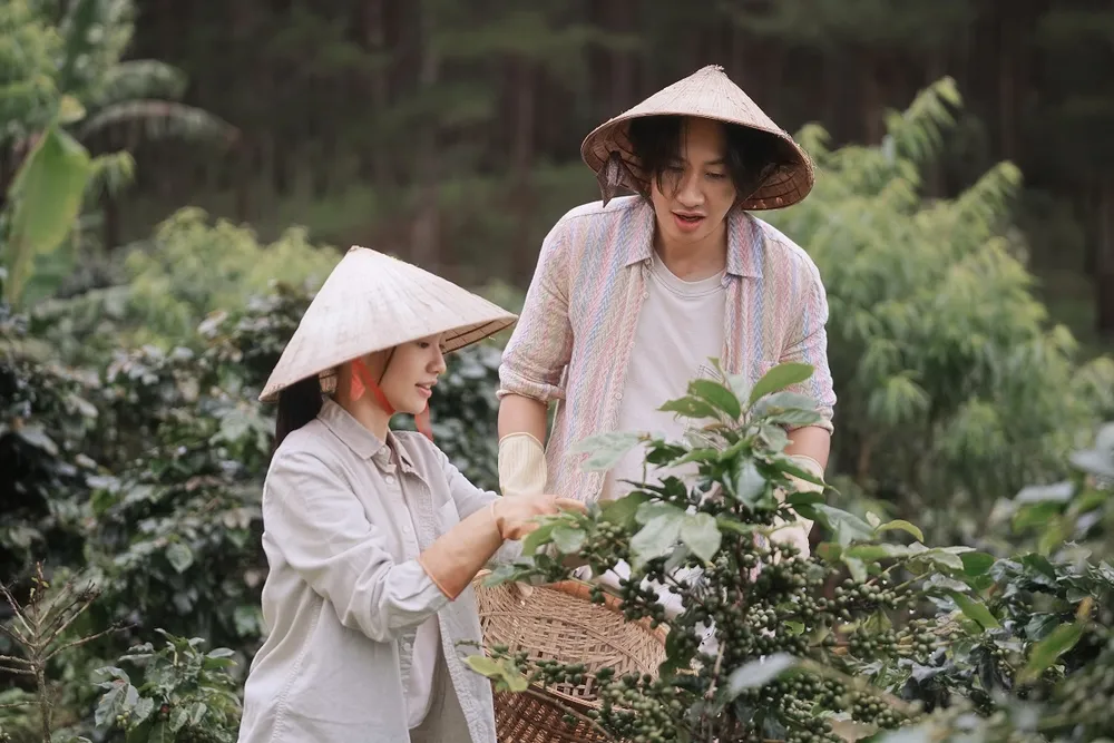 tay anh giu mot si sao 3.jpg