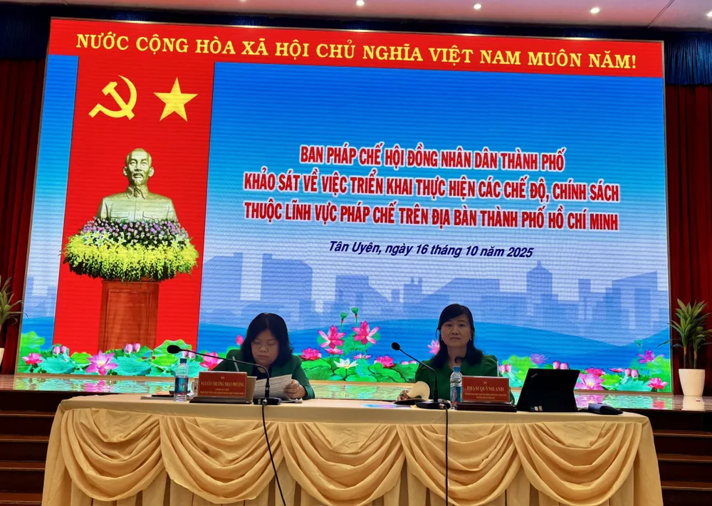 HĐND TPHCM (16-10).jpg