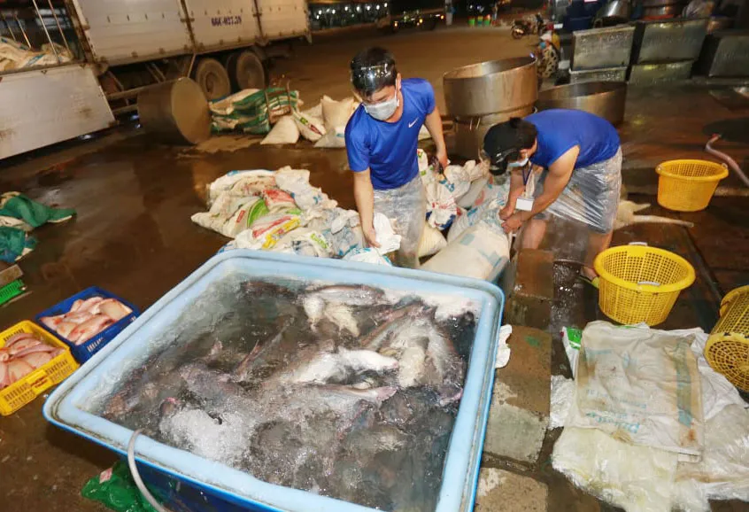 Từ ngày 1-10, các chợ đầu mối tại TPHCM tăng số lượng thương nhân ảnh 1