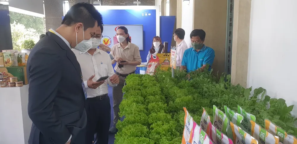 Mở rộng liên kết giữa TPHCM và ĐBSCL  ​ ảnh 3