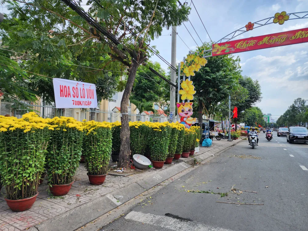 Đến chiều 30 tết, lượng hoa còn nhiều, chủ vựa trên đường Lê Thị Riêng, quận 12 hạ giá, bán lỗ vẫn không có khách mua Đến chiều 30 tết, lượng hoa còn nhiều, chủ vựa trên đường Lê Thị Riêng, quận 12 hạ giá, bán lỗ vẫn không có khách mua