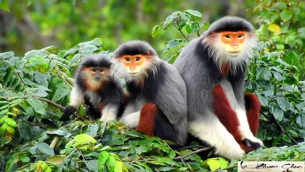 Báo chí bị cấm cửa tại cuộc họp về quy hoạch Sơn Trà ảnh 2