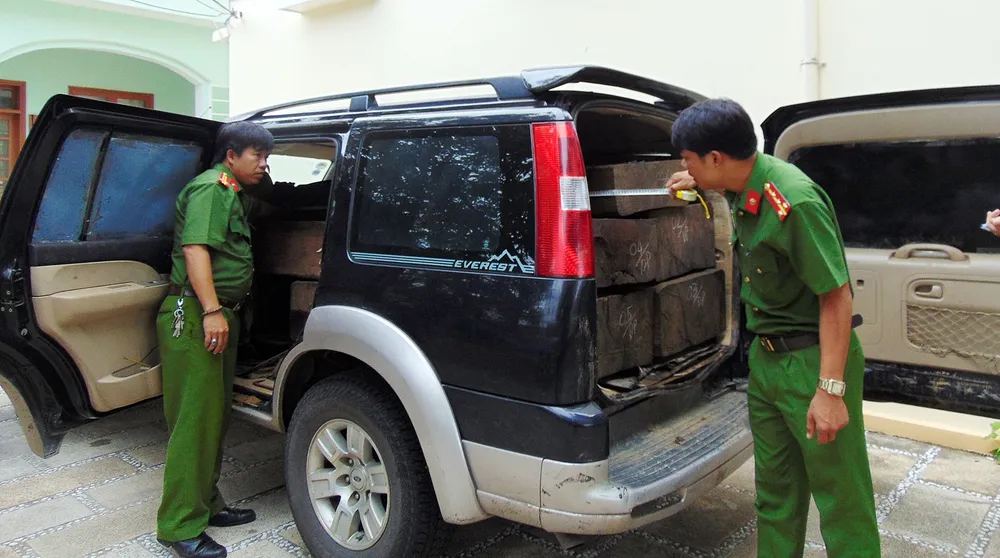 Xe ô tô chở 5 phách gỗ xoan đào bị cơ quan chức năng phát hiện, bắt giữ 