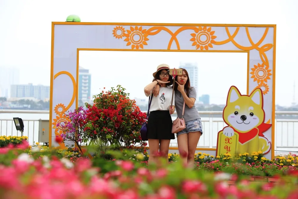 Nhộn nhịp đường hoa xuân Đà Nẵng  ảnh 8