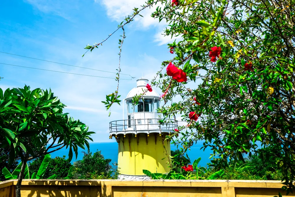 Giới trẻ ồ ạt kéo lên Sơn Trà “check in” ngọn hải đăng cổ  ảnh 11