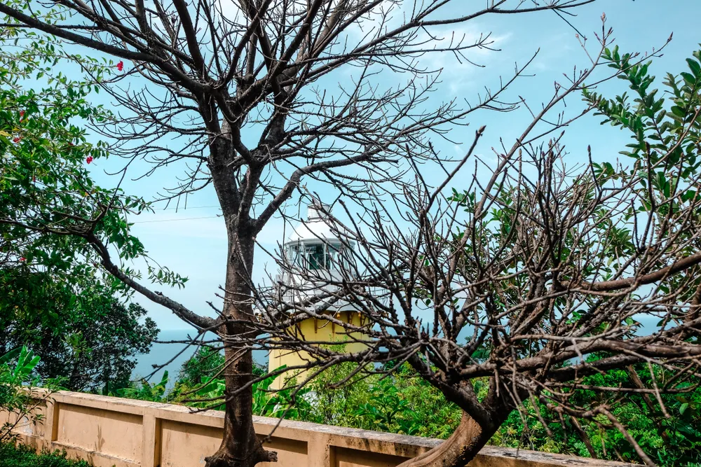 Giới trẻ ồ ạt kéo lên Sơn Trà “check in” ngọn hải đăng cổ  ảnh 13