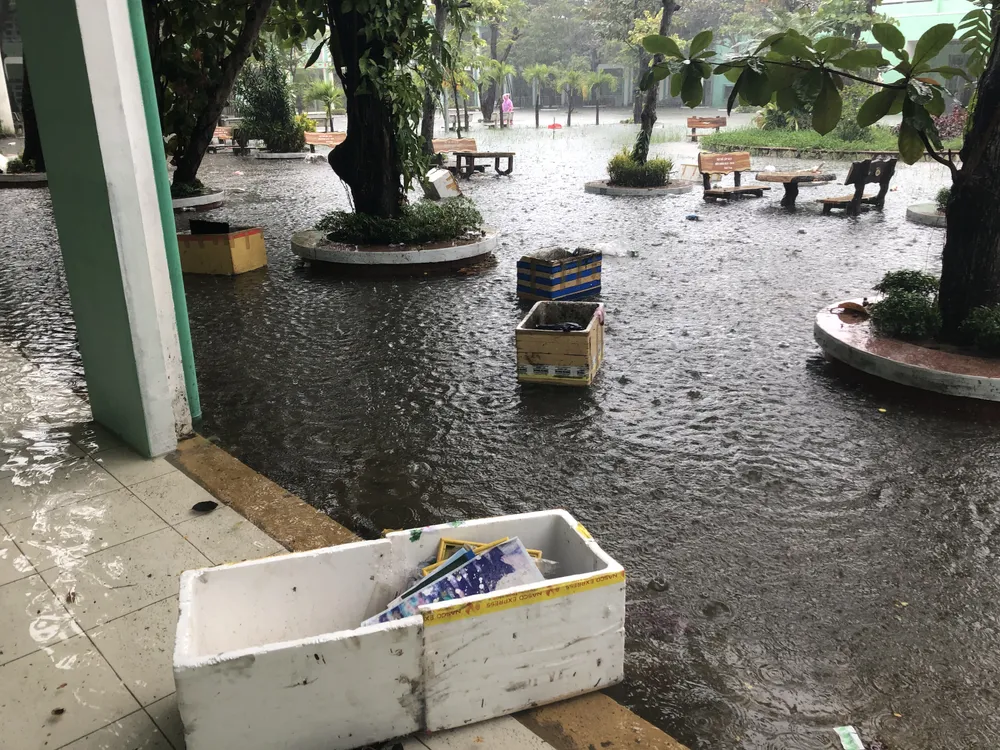 Mưa lớn gây ngập, ngày mai 10-12, học sinh - sinh viên trên toàn thành phố Đà Nẵng được nghỉ học ảnh 1