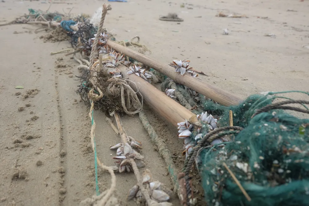 Đà Nẵng: Ra quân dọn sạch các bãi biển du lịch sau mưa lớn ảnh 2