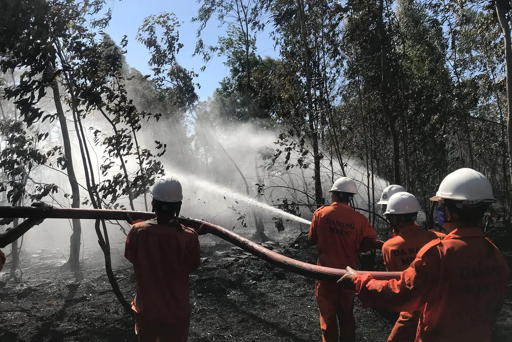 Kịp thời dập tắt đám cháy lớn trên bán đảo Sơn Trà giữa trưa ảnh 3