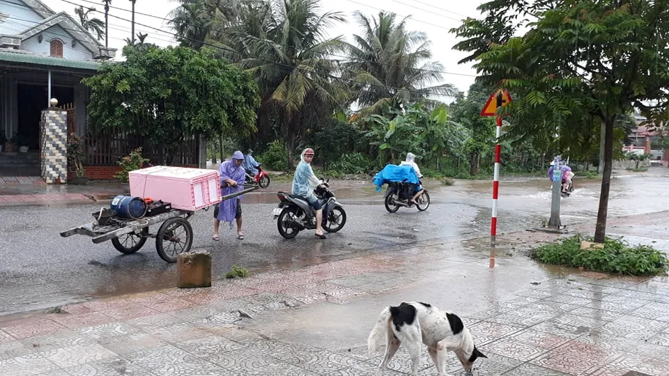 Mưa lớn trên diện rộng, Quảng Trị di dời khẩn cấp hàng trăm hộ dân ảnh 4
