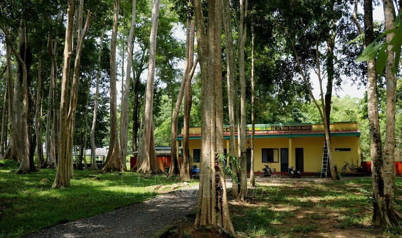 吉仙国家公园。