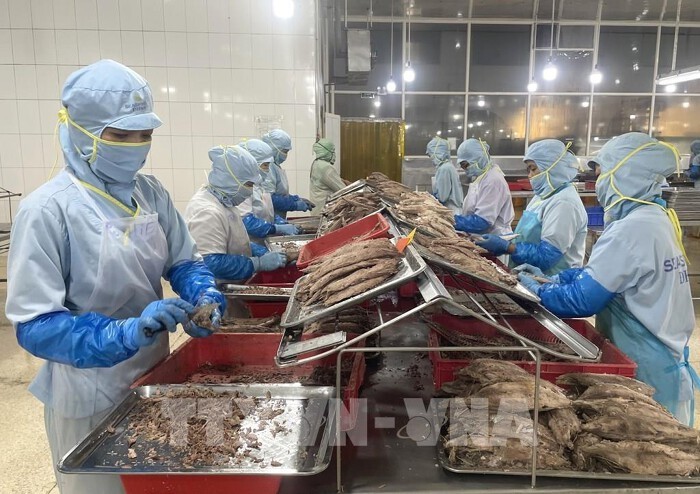 把握机遇 加快推动越南农产品对欧盟出口