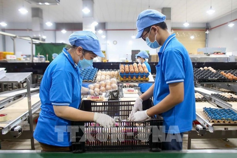 2025年前10个月，越南全国CPI指数上涨3.27%。