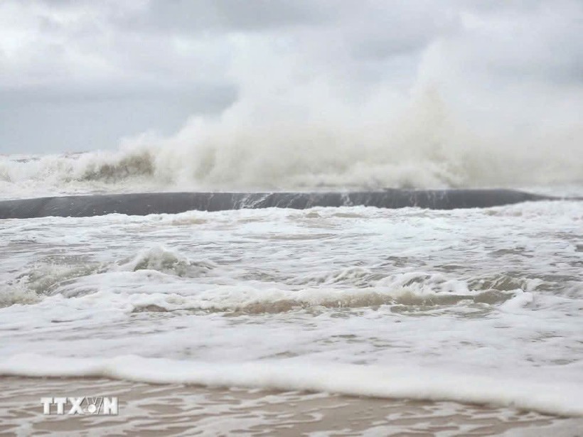 从现在至12月中旬，东海可出现1至2个台风或热带低气压。
