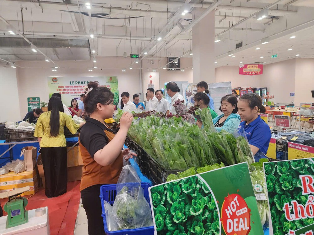 民众在在通西会坊的光忠Co.opmart Foodcosa超市选购无公害蔬菜。