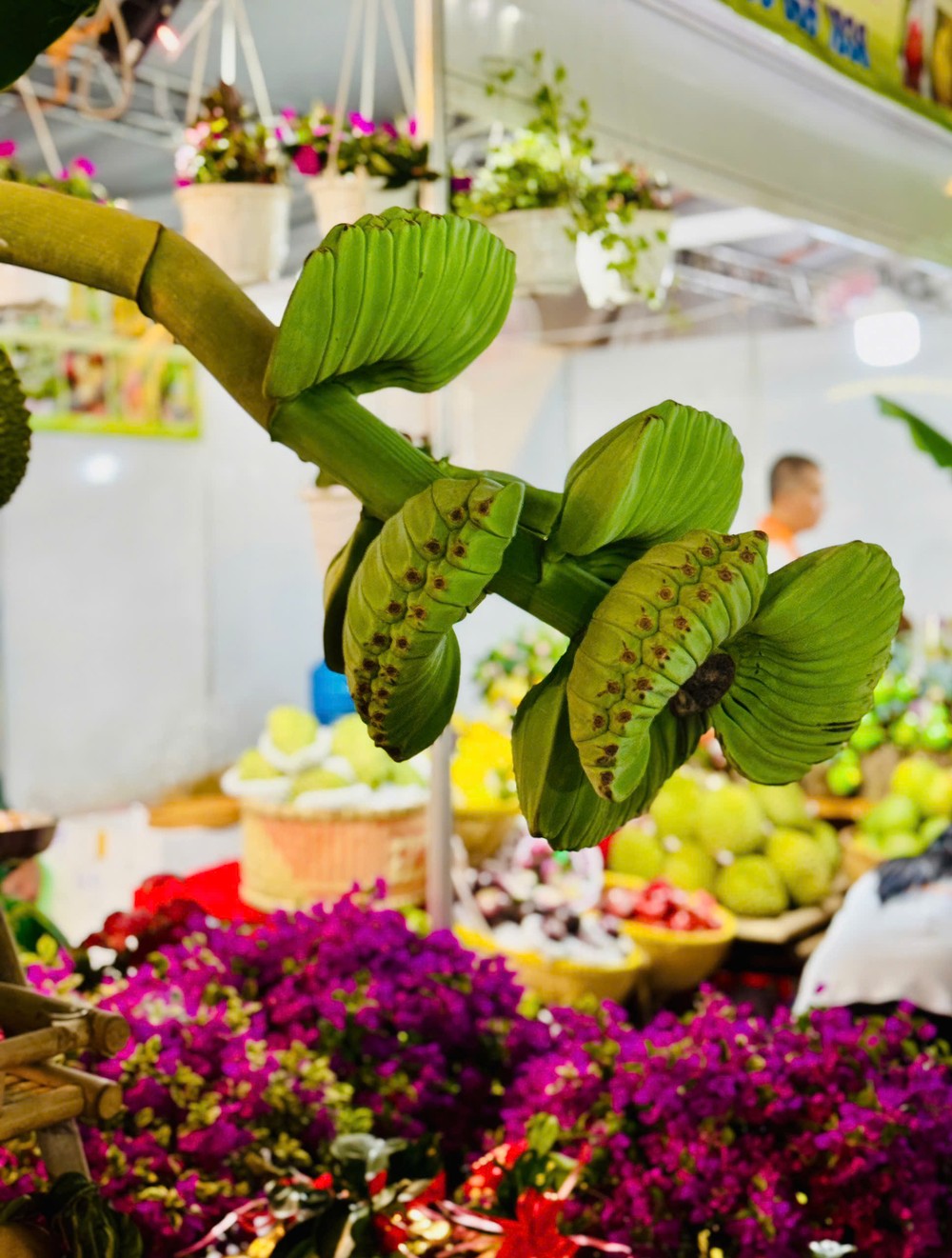 2  hinh-2-3803-8892.jpg