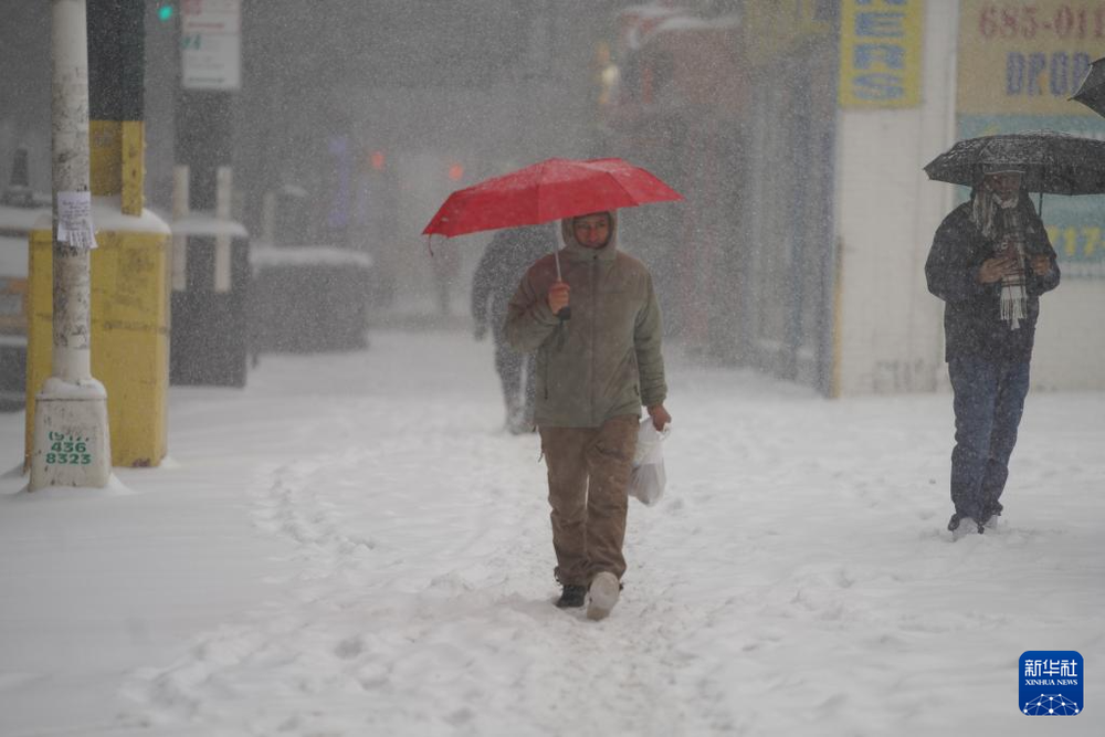 1月25日，在美国纽约，人们雪中出行。图：张凤国