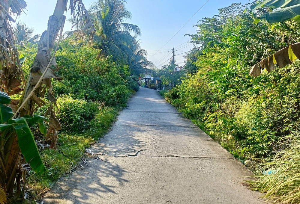 通往受害者 H.T.L.家的小路。