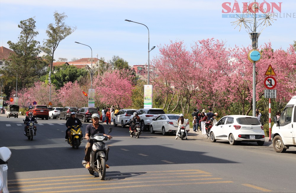 2  img-0719-886-1634.jpg